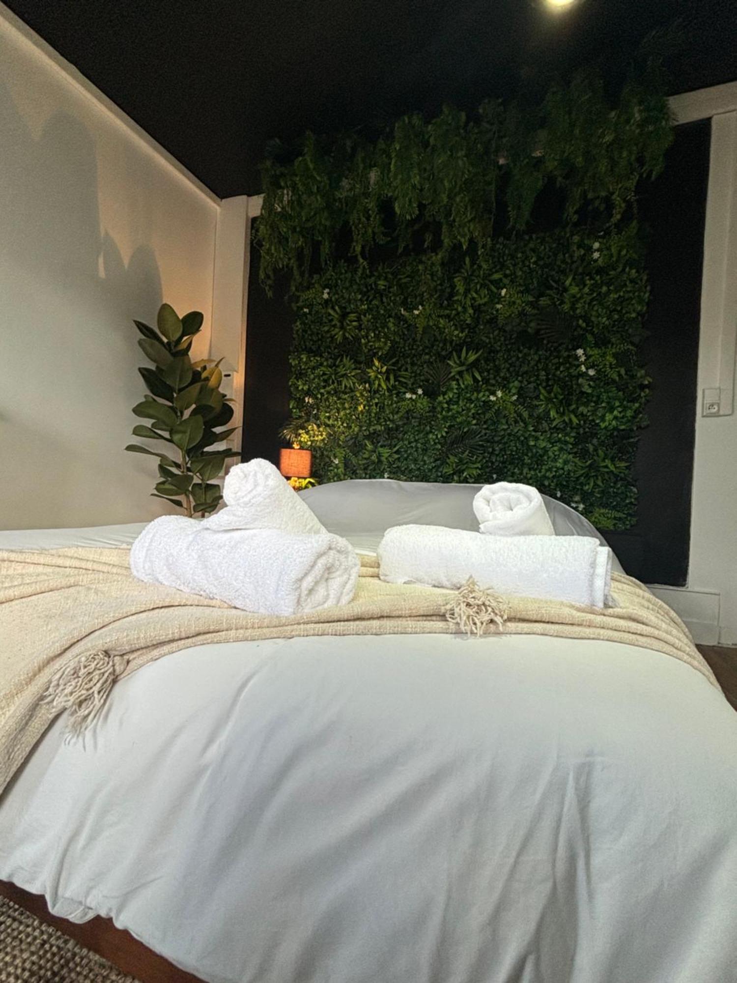 La Maison D'Aline Apartment อาร์ราส ภายนอก รูปภาพ