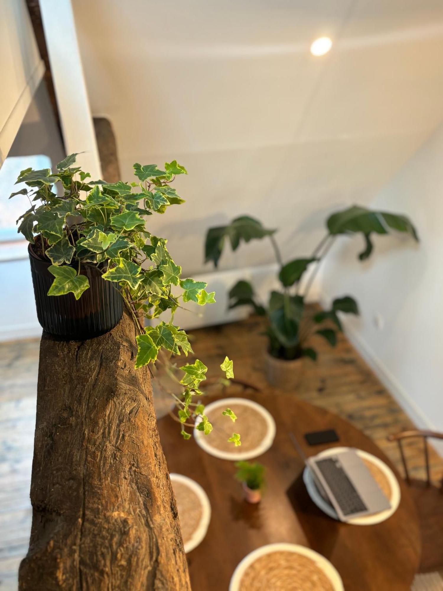 La Maison D'Aline Apartment อาร์ราส ภายนอก รูปภาพ
